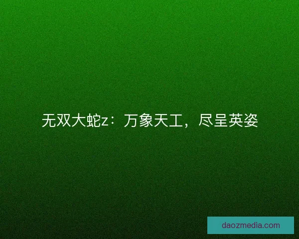 无双大蛇z：万象天工，尽呈英姿