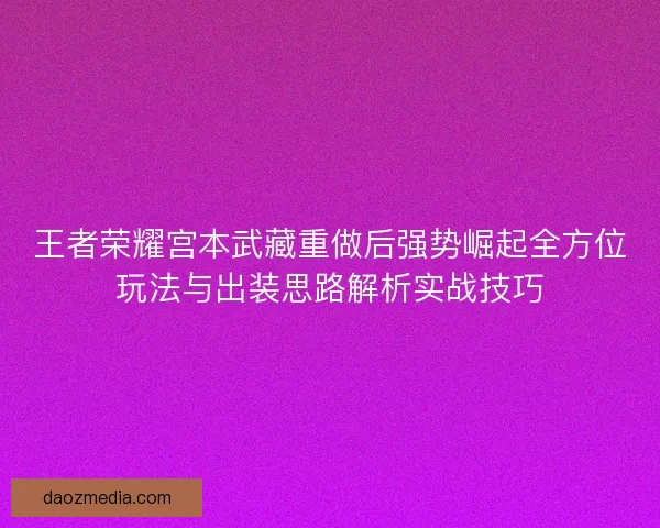 王者荣耀宫本武藏重做后强势崛起全方位玩法与出装思路解析实战技巧