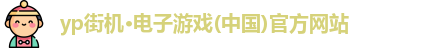 yp电子